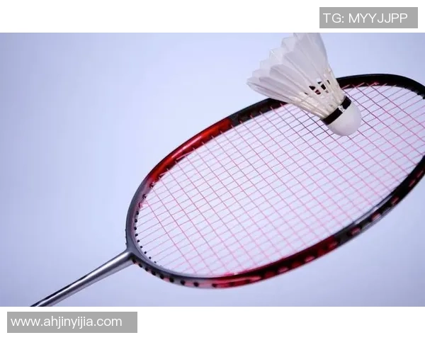 南京羽毛球队的战术解析与阵地战策略深度剖析